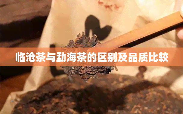 临沧茶与勐海茶的区别及品质比较