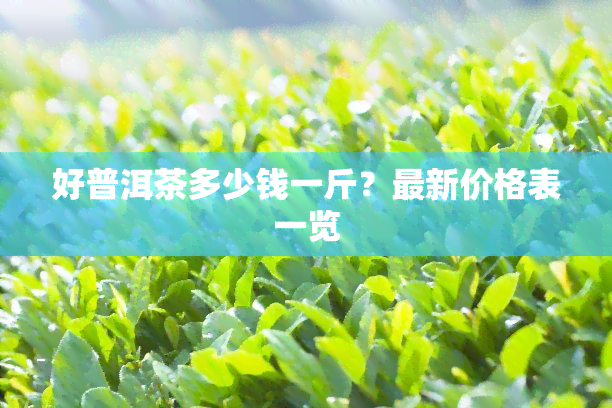 好普洱茶多少钱一斤？最新价格表一览