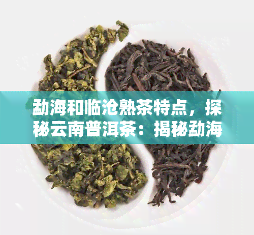 勐海和临沧熟茶特点，探秘云南普洱茶：揭秘勐海与临沧熟茶的独特韵味