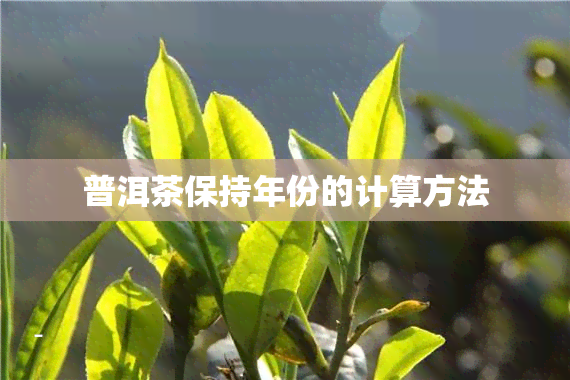 普洱茶保持年份的计算方法