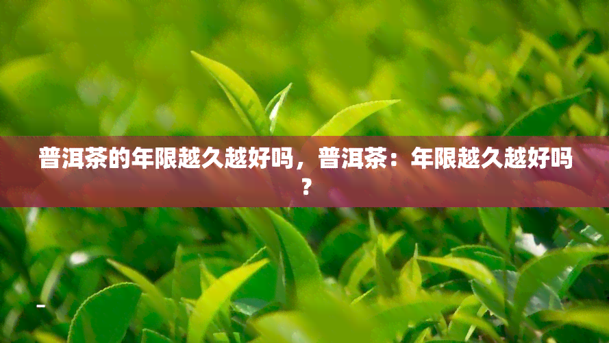 普洱茶的年限越久越好吗，普洱茶：年限越久越好吗？