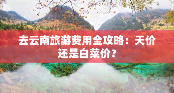 去云南旅游费用全攻略：天价还是白菜价？