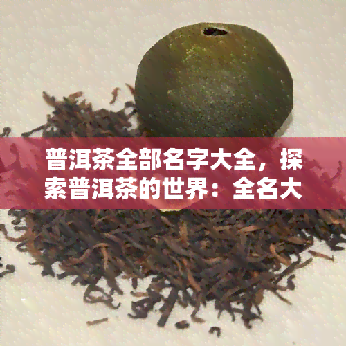 普洱茶全部名字大全，探索普洱茶的世界：全名大全一览无余！