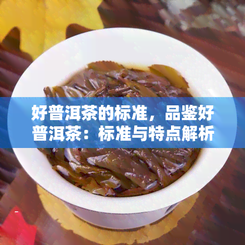 好普洱茶的标准，品鉴好普洱茶：标准与特点解析