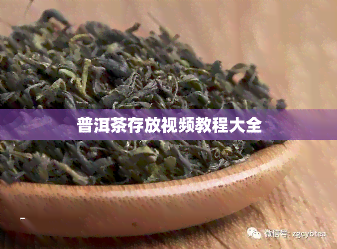 普洱茶存放视频教程大全