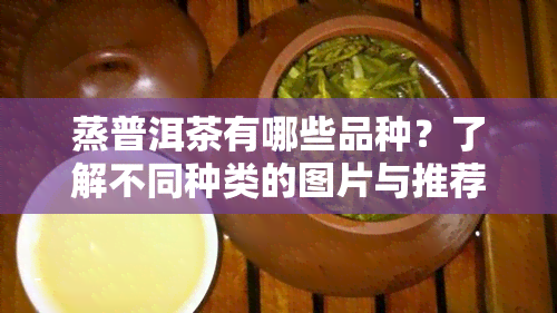 蒸普洱茶有哪些品种？了解不同种类的图片与推荐