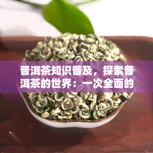 普洱茶知识普及，探索普洱茶的世界：一次全面的知识普及之旅