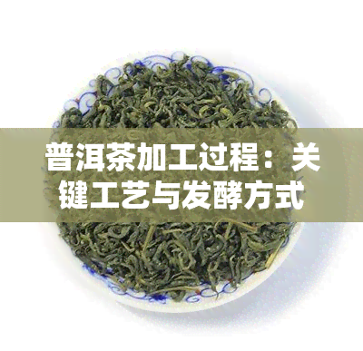 普洱茶加工过程：关键工艺与发酵方式解析