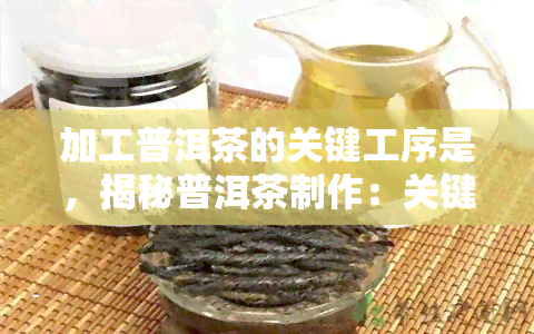 加工普洱茶的关键工序是，揭秘普洱茶制作：关键工序解析