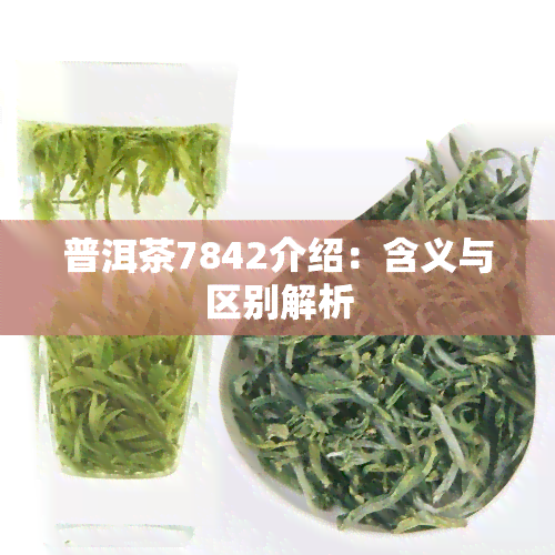 普洱茶7842介绍：含义与区别解析