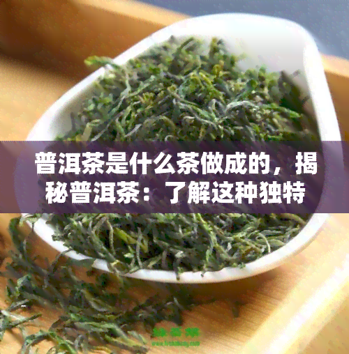 普洱茶是什么茶做成的，揭秘普洱茶：了解这种独特的茶叶是如何制成的？