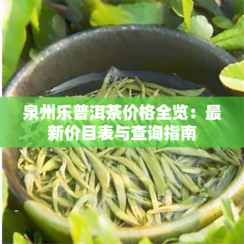 泉州乐普洱茶价格全览：最新价目表与查询指南