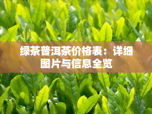 绿茶普洱茶价格表：详细图片与信息全览