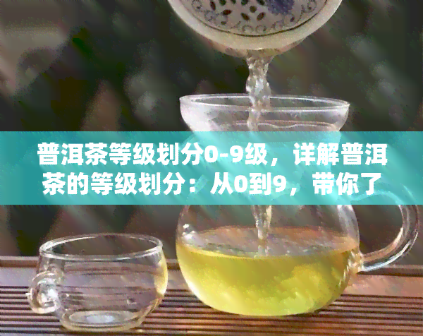 普洱茶等级划分0-9级，详解普洱茶的等级划分：从0到9，带你了解每一级别的特点和区别