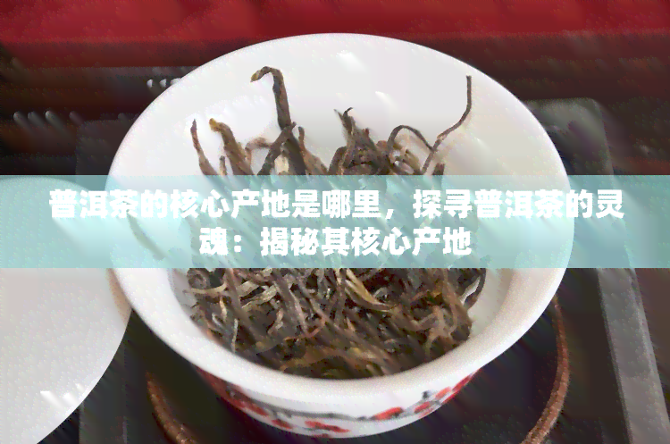 普洱茶的核心产地是哪里，探寻普洱茶的灵魂：揭秘其核心产地