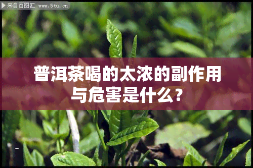 普洱茶喝的太浓的副作用与危害是什么？