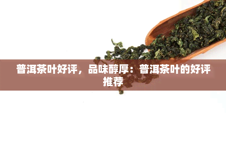 普洱茶叶好评，品味醇厚：普洱茶叶的好评推荐