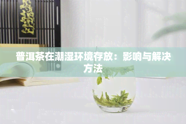 普洱茶在潮湿环境存放：影响与解决方法