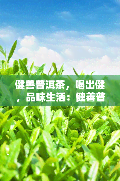 健善普洱茶，喝出健，品味生活：健善普洱茶的魅力探索