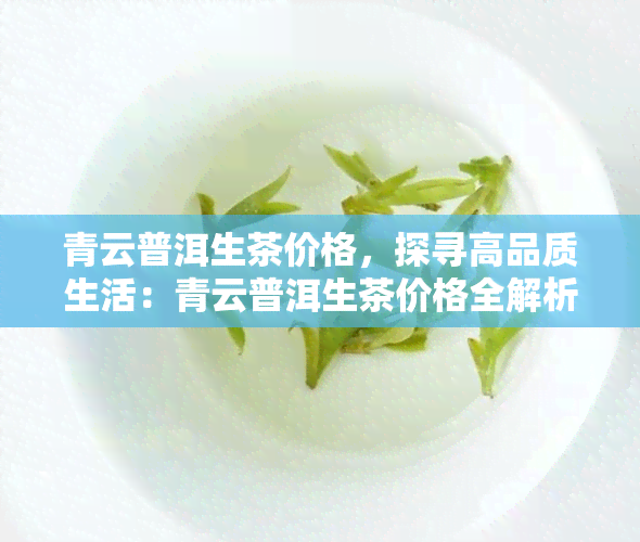 青云普洱生茶价格，探寻高品质生活：青云普洱生茶价格全解析