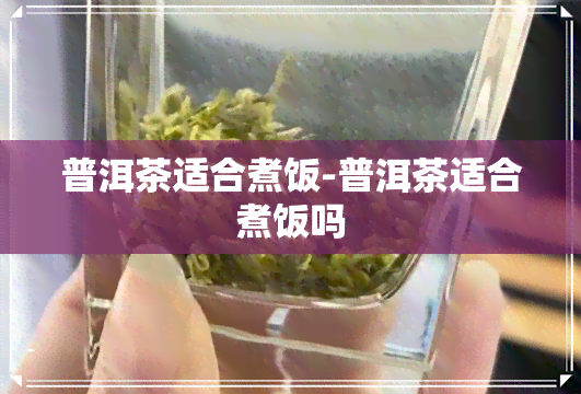 普洱茶适合煮饭-普洱茶适合煮饭吗