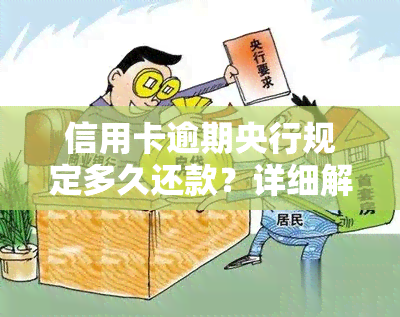 信用卡逾期央行规定多久还款？详细解析与建议