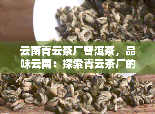 云南青云茶厂普洱茶，品味云南：探索青云茶厂的普洱茶世界