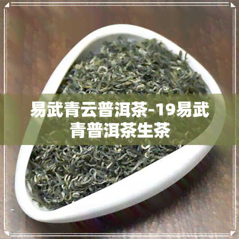 易武青云普洱茶-19易武青普洱茶生茶