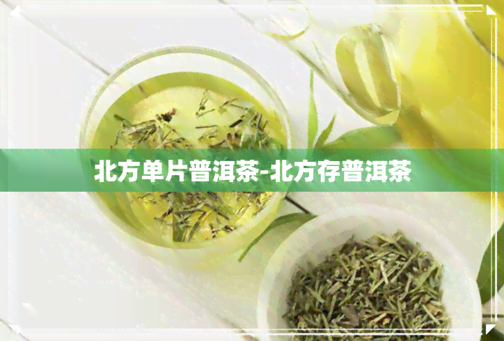 北方单片普洱茶-北方存普洱茶