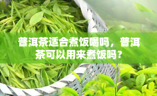 普洱茶适合煮饭喝吗，普洱茶可以用来煮饭吗？