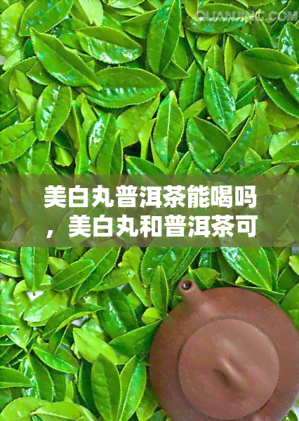 美白丸普洱茶能喝吗，美白丸和普洱茶可以一起饮用吗？