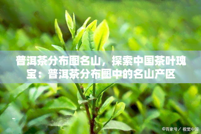 普洱茶分布图名山，探索中国茶叶瑰宝：普洱茶分布图中的名山产区