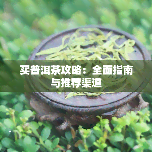 买普洱茶攻略：全面指南与推荐渠道