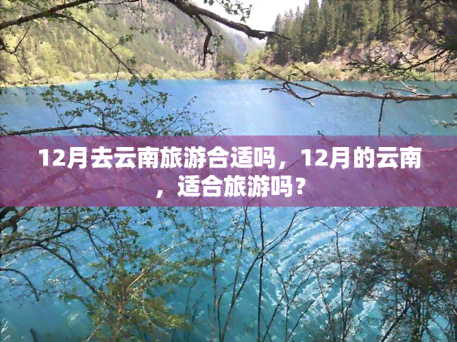 12月去云南旅游合适吗，12月的云南，适合旅游吗？