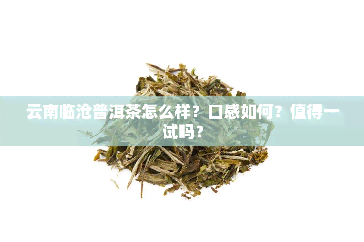 云南临沧普洱茶怎么样？口感如何？值得一试吗？