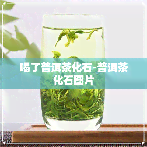 喝了普洱茶化石-普洱茶化石图片