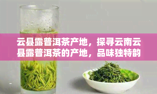 云县露普洱茶产地，探寻云南云县露普洱茶的产地，品味独特韵味