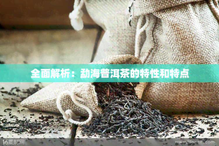 全面解析：勐海普洱茶的特性和特点