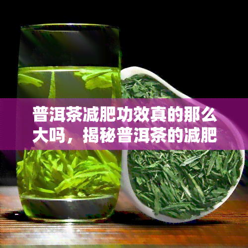 普洱茶减肥功效真的那么大吗，揭秘普洱茶的减肥效果：是真的那么神奇吗？