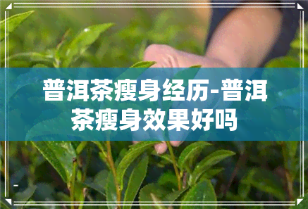 普洱茶瘦身经历-普洱茶瘦身效果好吗