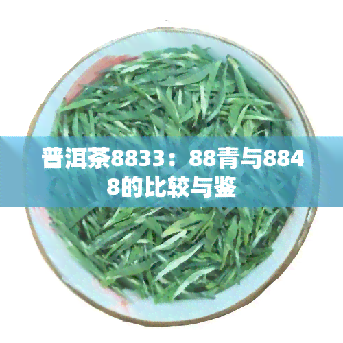 普洱茶8833：88青与8848的比较与鉴