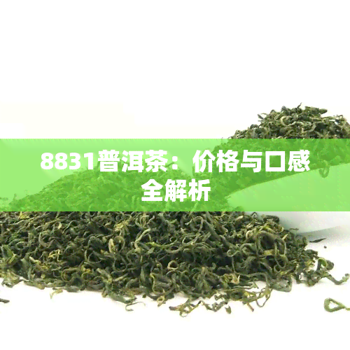 8831普洱茶：价格与口感全解析