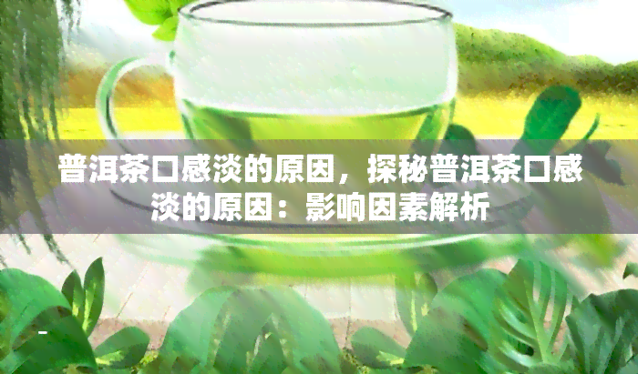 普洱茶口感淡的原因，探秘普洱茶口感淡的原因：影响因素解析