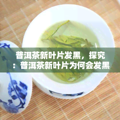 普洱茶新叶片发黑，探究：普洱茶新叶片为何会发黑？