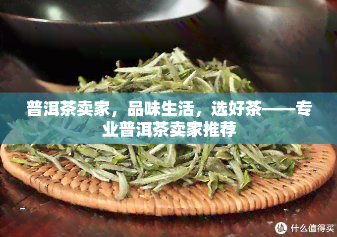 普洱茶卖家，品味生活，选好茶——专业普洱茶卖家推荐