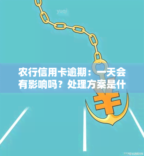 农行信用卡逾期：一天会有影响吗？处理方案是什么？