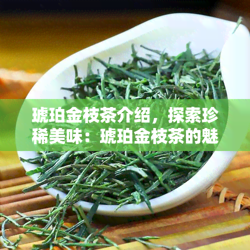 琥珀金枝茶介绍，探索珍稀美味：琥珀金枝茶的魅力与介绍