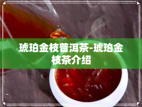 琥珀金枝普洱茶-琥珀金枝茶介绍