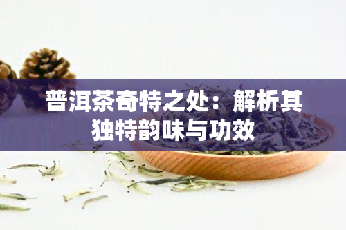 普洱茶奇特之处：解析其独特韵味与功效