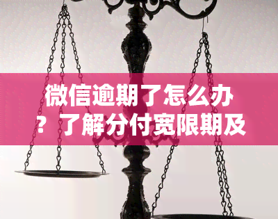 微信逾期了怎么办？了解分付宽限期及欠款处理方法